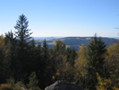 Steinwald